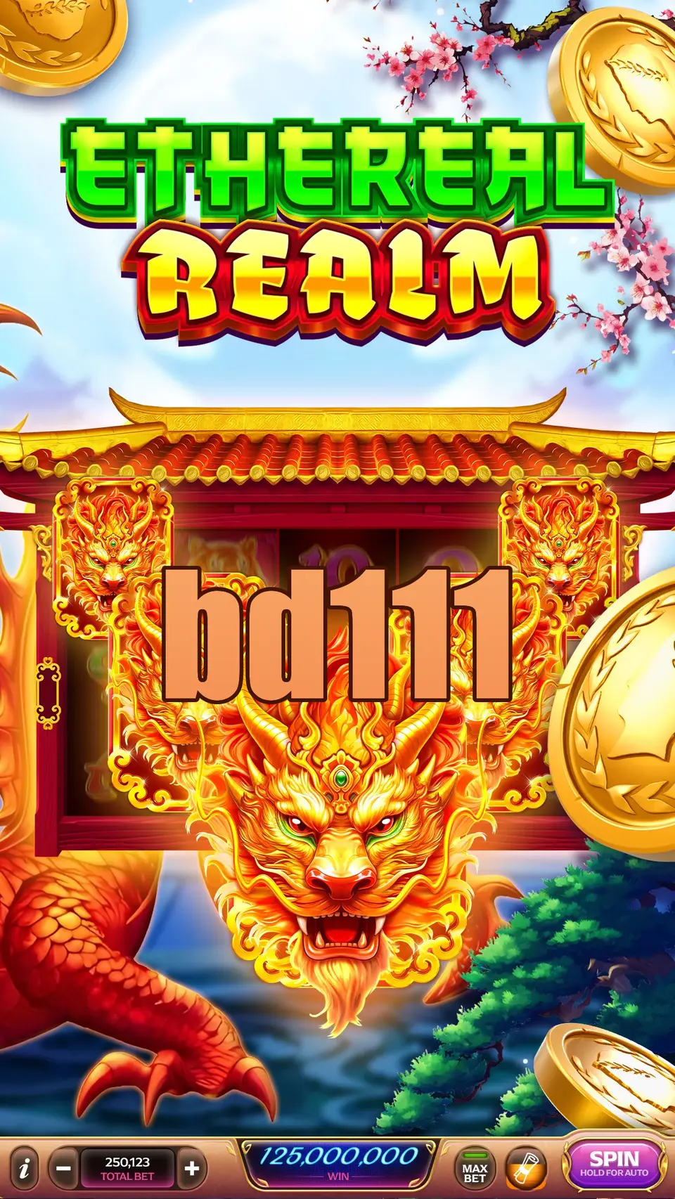bd111 লগইন